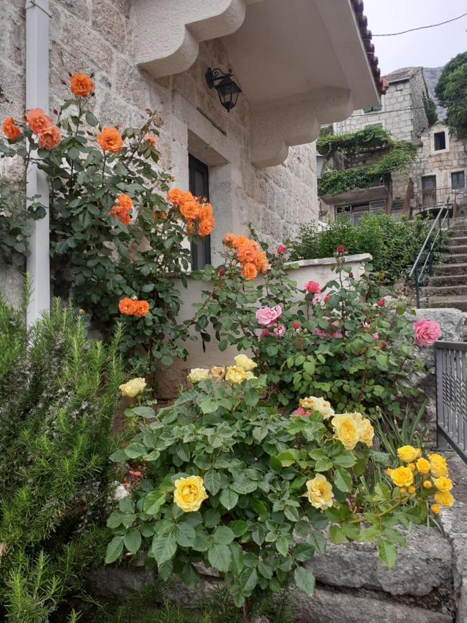 Vila Divna Podgora Exterior foto
